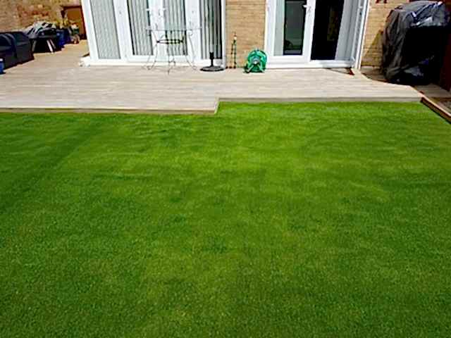 artificial-grass-kireth-ai