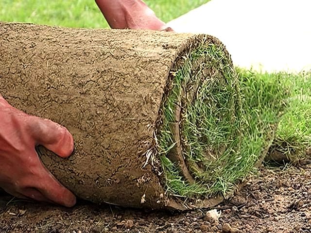 Garden Turfing 