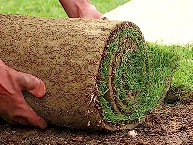 turfing-kireth-ai